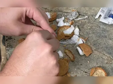 Imagem ilustrativa da imagem Homem é preso por tentar passar drogas escondidas em pães e biscoitos