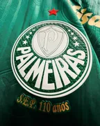 Imagem ilustrativa da imagem Palmeiras vence jogando em casa