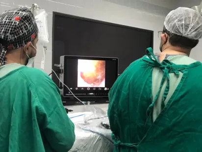 
		Hospital de São Luís de Montes Belos realiza cirurgia por videolaparoscopia