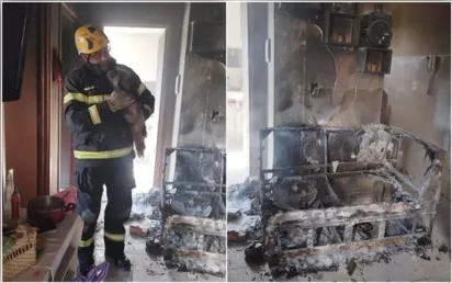
		Bombeiros resgatam cadela de apartamento em chamas