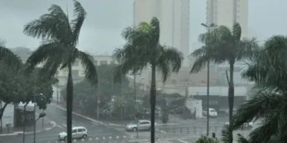 
		Prefeitura e Defesa Civil planejam estratégias contra tempestades na cidade
