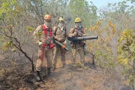 Imagem ilustrativa da imagem Chapada dos Veadeiros tem entre 50 km² e 60 km² de área atingida por incêndio