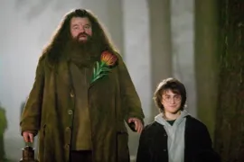 Imagem ilustrativa da imagem Daniel Radcliffe lamenta morte de Robbie Coltrane, o Hagrid de Harry Potter: "muito triste"