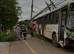 Imagem ilustrativa da imagem Ônibus bate em poste e duas pessoas ficam feridas, em Goiânia