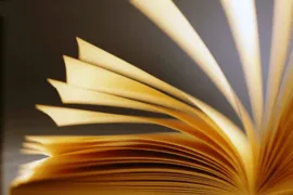 Imagem ilustrativa da imagem Os livros que  li em 2015
