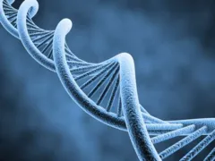 Imagem ilustrativa da imagem Reino Unido autoriza alteração genética de embriões humanos