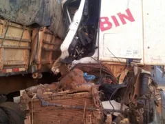 Imagem ilustrativa da imagem Batida entre duas carretas deixa homem ferido em Mineiros, Goiás