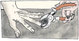 Imagem ilustrativa da imagem Alexandre e a tortura