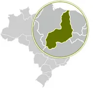 Imagem ilustrativa da imagem Água Branca, Regeneração, Floriano, Canto do Buriti, São João do Piauí e São Raimundo Nonato