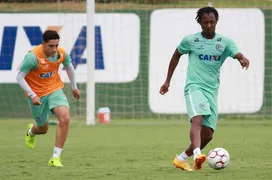Imagem ilustrativa da imagem Sem perder há seis jogos, Goiás recebe Criciúma no Serra Dourada