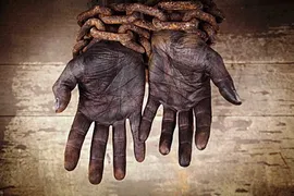 Imagem ilustrativa da imagem Ministra diz que portaria sobre trabalho escravo destrói Lei Áurea