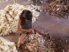Imagem ilustrativa da imagem Brasil registra aumento do trabalho infantil durante a pandemia