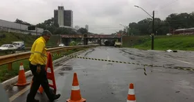 Imagem ilustrativa da imagem Queda de árvore e de fiação elétrica interdita trecho da Marginal Botafogo