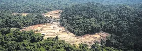 Imagem ilustrativa da imagem Monitoramento por satélite emitiu 20 mil alertas de desmatamento