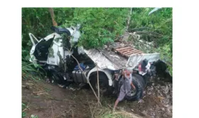 Imagem ilustrativa da imagem Motorista morre após queda de caminhão carregado de cerveja; carga é saqueada