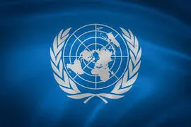 Imagem ilustrativa da imagem ONU abre inscrições para cursos gratuitos em Genebra