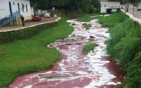 Imagem ilustrativa da imagem Caminhão com sangue bovino tomba e carga se espalha no Rio Vermelho, na cidade de Goiás