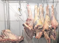 Imagem ilustrativa da imagem Operação apreende 11 toneladas de carne imprópria para consumo