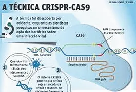 Imagem ilustrativa da imagem CRISPR CAS 9 – Uma nova e revolucionária era científica começou