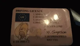 Imagem ilustrativa da imagem Homem é apreendido por usar carteira de motorista com “foto” de Homer Simpson