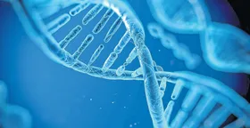Imagem ilustrativa da imagem DNA – a molécula da vida