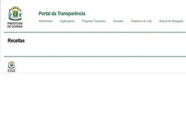 Imagem ilustrativa da imagem MP-GO recomenda mudanças no site da Prefeitura de Goiânia