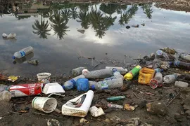 Imagem ilustrativa da imagem Poluição plástica é tema do Dia Mundial do Meio Ambiente 2018
