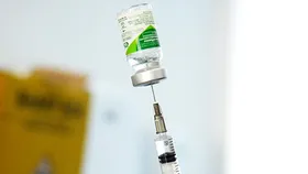 Imagem ilustrativa da imagem H1N1: Grávidas e crianças não atingem meta de vacinação no Estado