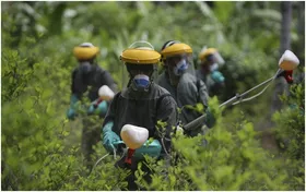 Imagem ilustrativa da imagem Brasil lidera o ranking mundial de uso de agrotóxicos
