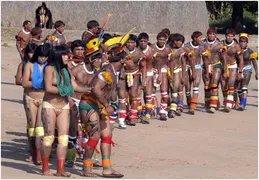 Imagem ilustrativa da imagem Goiânia recebe exposição de peças indígenas