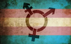 Imagem ilustrativa da imagem A polêmica do transexualismo  ter sido retirado da classificação de doenças