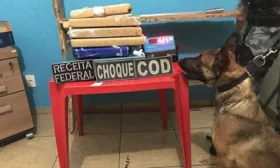 Imagem ilustrativa da imagem Cães farejadores ajudam a encontrar droga dentro de ônibus, em Goiás
