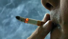 Imagem ilustrativa da imagem Os males do cigarro  para a sociedade e suas consequências
