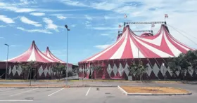 Imagem ilustrativa da imagem Circo Maximus inicia espetáculos no Aparecida Shopping