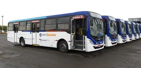 Imagem ilustrativa da imagem Iveco Bus entrega 60 chassi para empresa de transporte coletivo de Goiânia
