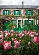 Imagem ilustrativa da imagem Os jardins de Monet