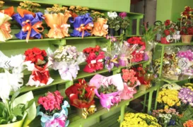 Imagem ilustrativa da imagem Finados: Procon registra variação de preços de até 400% em floriculturas