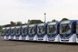Imagem ilustrativa da imagem 60 novos veículos do transporte coletivo começam a circular em Goiânia a partir deste mês