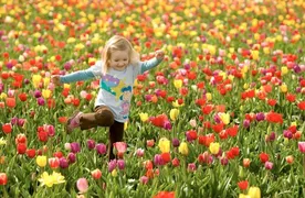 Imagem ilustrativa da imagem Crianças e primavera