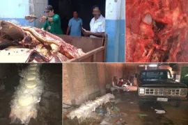 Imagem ilustrativa da imagem Três toneladas de carne clandestina são apreendidas em Itaberaí