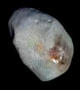 Imagem ilustrativa da imagem Caroços siameses