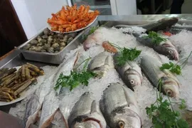 Imagem ilustrativa da imagem Pesquisa constata variações de até 182% no preço dos pescados