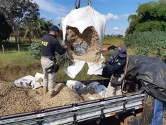 Imagem ilustrativa da imagem Dupla é detida por transportar cerca de uma tonelada de maconha, em Jataí