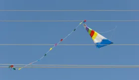 Imagem ilustrativa da imagem Riscos do contato de pipas com rede elétrica