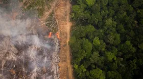 Imagem ilustrativa da imagem Desmatamento na Amazônia aumenta 15% nos últimos 12 meses, diz Imazon