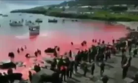 Imagem ilustrativa da imagem Para atacar Noruega, Bolsonaro posta vídeo sobre Dinamarca