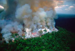 Imagem ilustrativa da imagem França convoca países do G7 para tratar da destruição da Amazônia sob Governo Bolsonaro