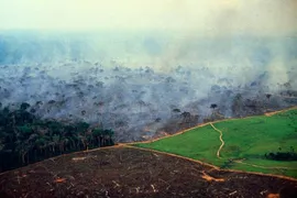 Imagem ilustrativa da imagem Bolsonaro acusa ONGs por estarem por trás das queimadas na Amazônia