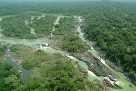 Imagem ilustrativa da imagem Desmatamento e  aquecimento global são temas de evento sobre clima que começa nesta segunda, em Salvador