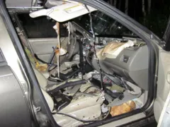 Imagem ilustrativa da imagem Urso fica preso dentro de carro e destrói todo o interior do veículo nos EUA